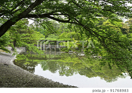 京都仙洞御所 南池 新緑の八ッ橋 京都仙洞御所 南池 新緑の八ッ橋 91768983