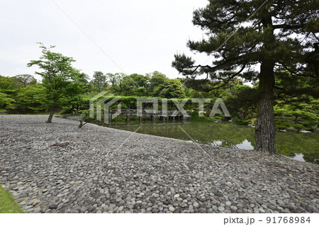 京都仙洞御所　南池　新緑の八ッ橋 91768984