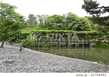 京都仙洞御所 南池 新緑の八ッ橋 京都仙洞御所 南池 新緑の八ッ橋 91768985