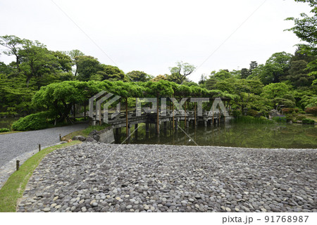 京都仙洞御所 南池 新緑の八ッ橋 京都仙洞御所 南池 新緑の八ッ橋 91768987