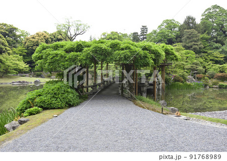 京都仙洞御所 南池 新緑の八ッ橋 京都仙洞御所 南池 新緑の八ッ橋 91768989