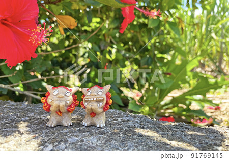 シーサーとハイビスカス 沖縄 [宮古島] 91769145