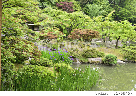京都仙洞御所 南池 京都仙洞御所 南池 91769457