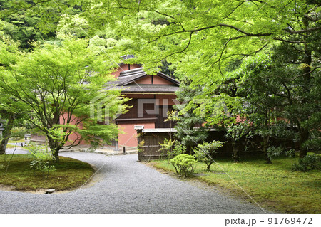 京都仙洞御所　新緑の醒花亭と桜の馬場 91769472