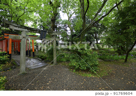 福寿稲荷神社 一初(鳶尾) 福寿稲荷神社 一初(鳶尾) 91769604