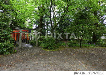 福寿稲荷神社　一初（鳶尾） 91769605
