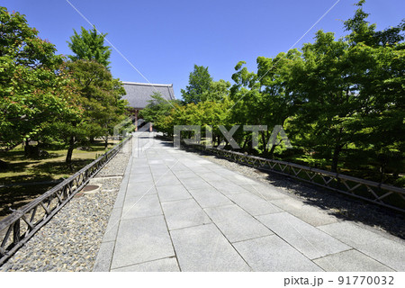 智積院　深緑 91770032