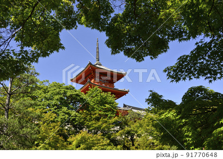 清水寺　新緑の三重塔 91770648
