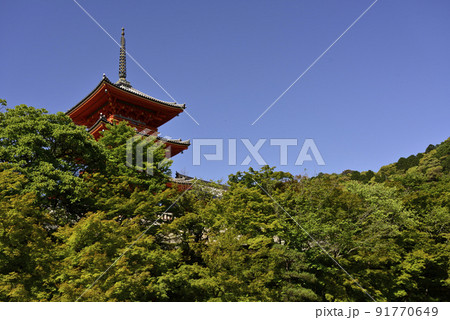 清水寺 新緑の三重塔 清水寺 新緑の三重塔 91770649