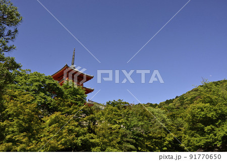 清水寺　新緑の三重塔 91770650