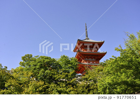 清水寺　新緑の三重塔 91770651