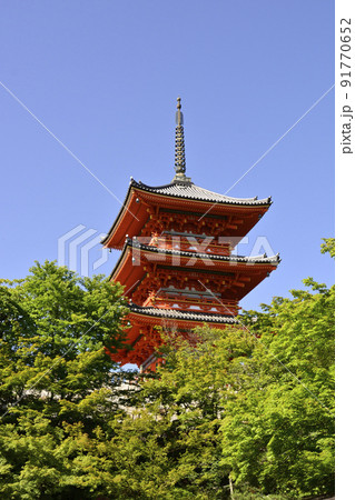 清水寺　新緑の三重塔 91770652