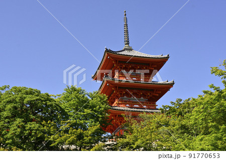 清水寺　新緑の三重塔 91770653