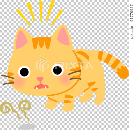 Flehmen response cat 91770927