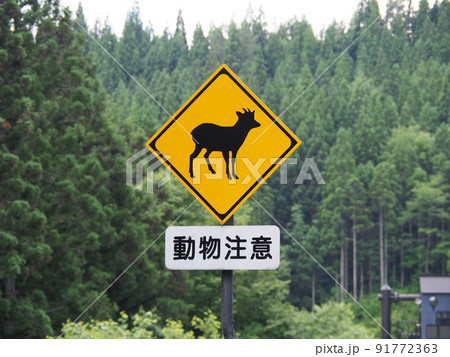 カモシカ注意 91772363