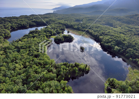 空から見る初夏の知床五湖(北海道・知床) 空から見る初夏の知床五湖(北海道・知床) 91773021