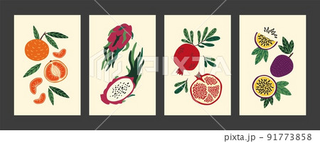 Abstract fruit poster. Modern food art, vintage hand drawn print of summer or autumn harvest with minimalist tropical plant. Mandarin exotic dragonfruit and pomegranate vector cartoon background 91773858