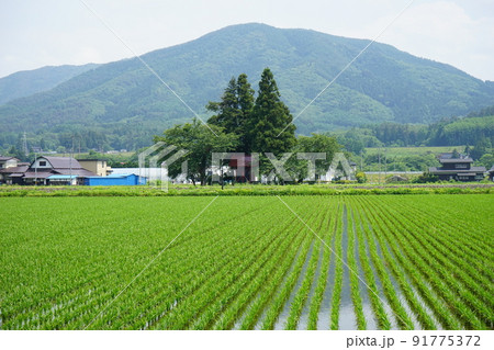 日本の原風景 遠野 91775372