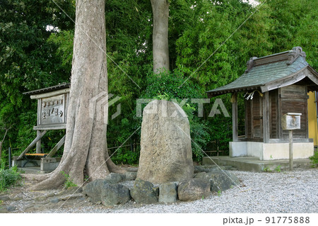 徳川家康縁の「昼間ノ渡シ場」【びん沼川】埼玉県さいたま市 91775888