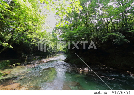 秋田の鵜養、殿渕の大又川、清流の景色 91776351