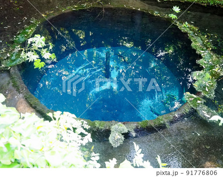 春ドライブ-柿田川湧水 春ドライブ-柿田川湧水 91776806