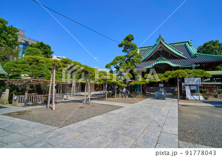東京都葛飾区柴又の帝釈天(題経寺)の帝釈堂と瑞龍松 91778043