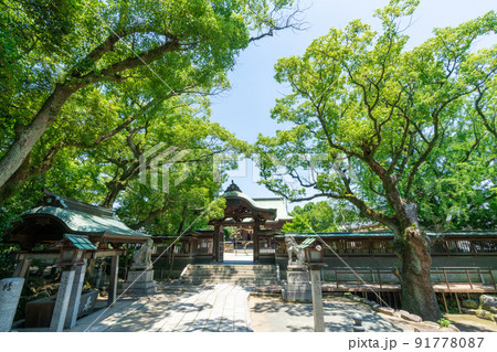 《福岡県》(全国総本山)水天宮 久留米市瀬下町 《福岡県》(全国総本山)水天宮 久留米市瀬下町 91778087
