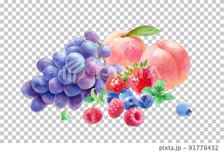 Watercolor illustration of 3 kinds of fresh berries, peaches and grapes. Raspberries, strawberries, blueberries, peaches, grapes 91778432