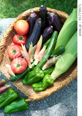 ざるに盛られた野菜 ざるに盛られた野菜 91779071