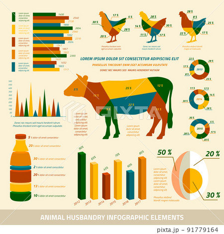 Animal husbandry infographics flat design elements Animal husbandry infographics flat design elements 91779164