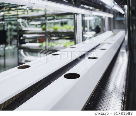 Plant row Grow with LED Light Hydroponic Farm Agriculture Technology 91781985