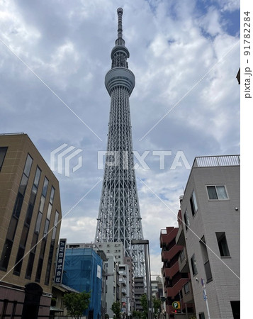 雲りの空にそそり立つスカイツリー 91782284