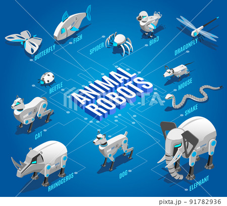 Animal Robots Isometric Flowchart 91782936