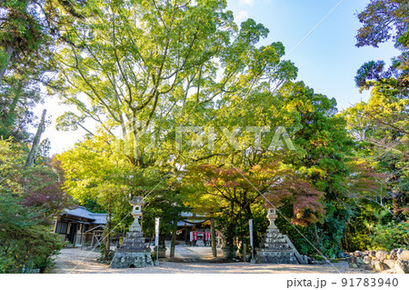 三重県亀山市　亀山神社の境内と入り口の鳥居 91783940