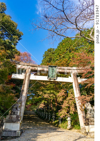 滋賀県多賀町 秋の胡宮神社の鳥居 滋賀県多賀町 秋の胡宮神社の鳥居 91783947