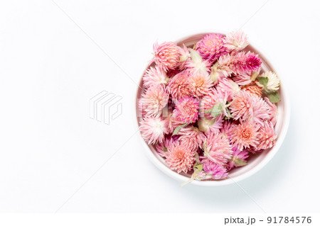 デザイン背景用小鉢に入った花 千日紅 ピンク デザイン背景用小鉢に入った花 千日紅 ピンク 91784576