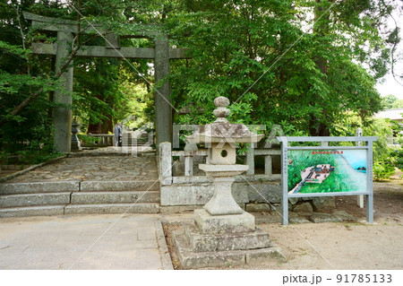 櫻井神社の鳥居と石灯籠 櫻井神社の鳥居と石灯籠 91785133