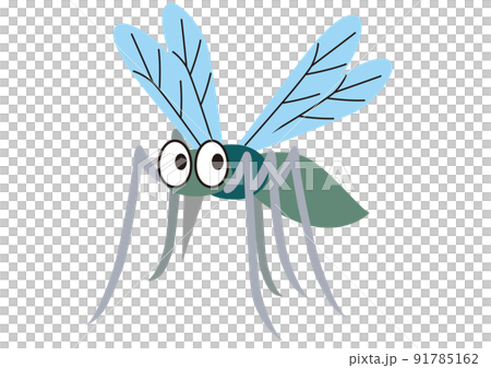 蚊,昆虫,夏,動物,フィラリア,デング熱,害虫,か,吸血,成虫,シンプル,羽,虫,ヤブ蚊,カ,イエ蚊 91785162