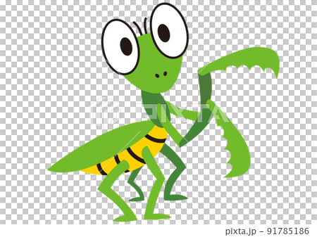 綠色, 春天, 夏天, 育種, 生物, 性質, 動物, 昆蟲, 暑假, 鐮刀, 螳螂, 昆蟲, 生物 綠色, 春天, 夏天, 育種, 生物, 性質, 動物, 昆蟲, 暑假, 鐮刀, 螳螂, 昆蟲, 生物 91785186