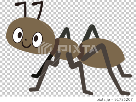 蟻,虫,昆虫,動物,春,夏,アリ,虫取り,夏休み,ありんこ,生き物,自然,生物,あり,昆虫採集 蟻,虫,昆虫,動物,春,夏,アリ,虫取り,夏休み,ありんこ,生き物,自然,生物,あり,昆虫採集 91785207