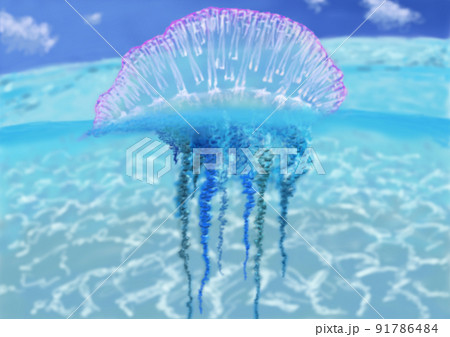 カツオノエボシ 綺麗だけど猛毒 電気クラゲ 触手の陰影濃いめ カツオノエボシ 綺麗だけど猛毒 電気クラゲ 触手の陰影濃いめ 91786484