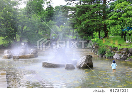 府中市郷土の森博物館の紫陽花 府中市郷土の森博物館の紫陽花 91787035