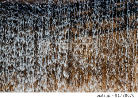 Texture of a flowing waterfall on the wall. 91788076