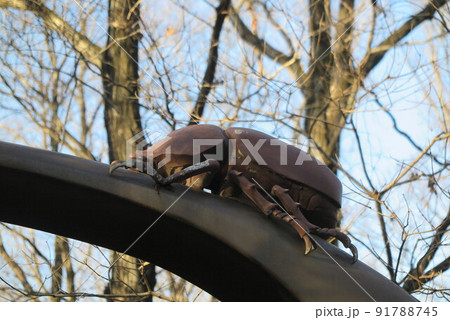 武蔵野の路のかぶとばしの入り口2 武蔵野の路のかぶとばしの入り口2 91788745