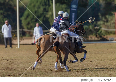 Polo-Cross Men Horses Game Action 91792921