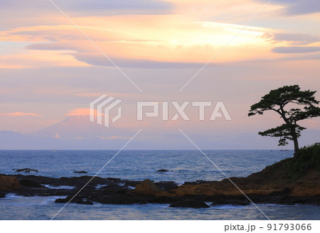 秋谷海岸・立石公園 秋谷海岸・立石公園 91793066