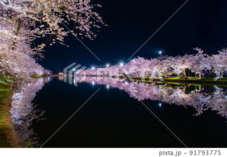 弘前公園夜景 西濠 青森県弘前市弘前公園 弘前公園夜景 西濠 青森県弘前市弘前公園 91793775