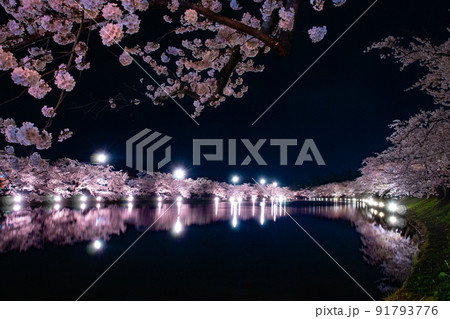 弘前公園夜景　西濠　青森県弘前市弘前公園 91793776