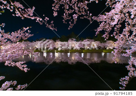 弘前公園夜景　西濠　夜桜リフレクション　青森県弘前市弘前公園 91794185