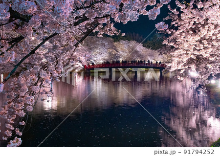 弘前公園夜景　春陽橋　夜桜リフレクション　青森県弘前市弘前公園 91794252